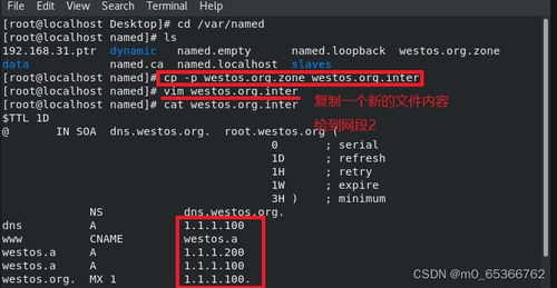 企业域名解析服务的部署及安全优化实践