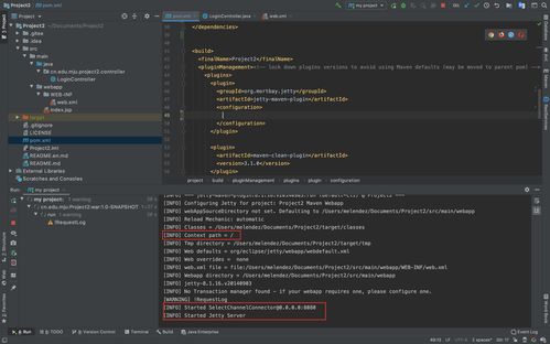 Java进阶开发 Web服务搭建与计算机软件开发及运维服务详解